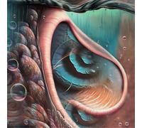 Various Artists Meddle Reimagined: A Tribute to Pink Floyd (Vinyl LP)