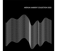 Various Artists Medium Ambient Collection 2022 Black / Various (Vinyl LP)