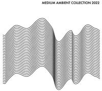 Various Artists Medium Ambient Collection 2022 White / Various (Vinyl LP)
