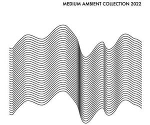 Various Artists Medium Ambient Collection 2022 White / Various (Vinyl LP)