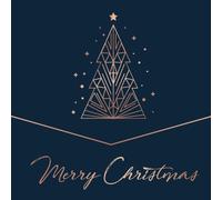 Various Artists Merry Christmas (Vinyl LP)