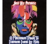 Various Artists - Millennium Tribute to Diamond David