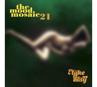 Various Artists Mood Mosaic 21 (CD)