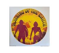 Various Artists Morning of the Earth (Vinyl LP)