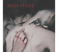 VARIOUS ARTISTS - NEVER ERASED - Vinyl Record - E72z
