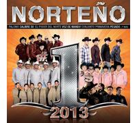 Various Artists Norte¤o #1's 2013 (CD)