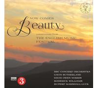 Various Artists - Now Comes Beauty
