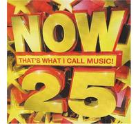 Various Artists - Now That's What I Call Music 25 (South Africa Series)