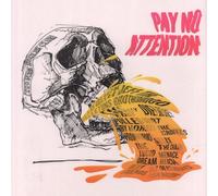 Various Artists Pay No Attention (Vinyl LP) 12" Album
