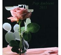 Various Artists - Pop Ambient 2011