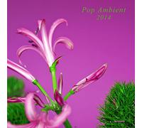 Various Artists - Pop Ambient 2014