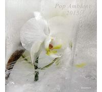 Various Artists - Pop Ambient 2015