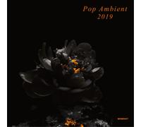Various Artists Pop Ambient 2019 (Vinyl LP) 12" Album