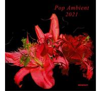 Compilation - Pop Ambient 2021 Various Artists Cd