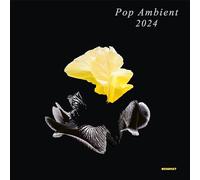 various artists-pop ambient 2024 cd