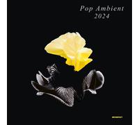 Various Artists Pop Ambient 2024 (CD) Album
