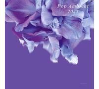 Various Artists Pop Ambient 2025 (CD) Album
