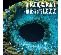 Various Artists Primary Forest 03 (Vinyl LP)