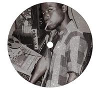 various artists-promise land vocals & ve