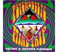 Various Artists - Psychedelic Mind Trip 2