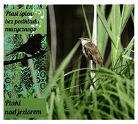 Various Artists: Ptaki Nad Jeziorem (digipack) [CD]