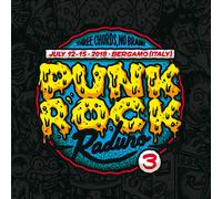 VARIOUS ARTISTS Punk Rock Raduno 3 (Vinyl LP)