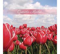 Various Artists - Querida Madre 3