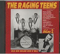 Various Artists - Raging Teens 2