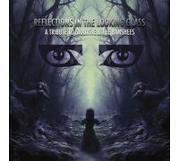 Various Artists Reflections in the Looking Glass: A Tribute to Siouxs (Vinyl LP)