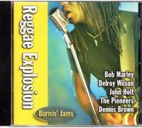 Various Artists - Reggae Explosion: Burnin Jams
