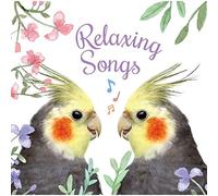 Various Artists - Relaxing Songs