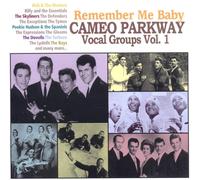 Various Artists Remember Me Baby: Cameo Parkway Vocal Groups - Volume 1 (CD)