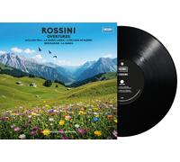 Various Artists Rossini: Ouvertures (Vinyl LP)