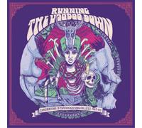 Various Artists Running the Voodoo Down: Explorations in Psychrockfunksoulj (CD)