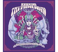 Various Artists Running the Voodoo Down: Explorations in Psychrockfunksoulj (CD)