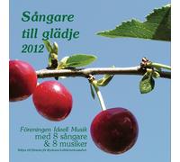 VARIOUS ARTISTS Sangare Till Gladje 2013 / Various (CD)