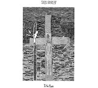 Various Artists - Todo Muere SBXV (Limited Edition) (Red Coloured) (LP)