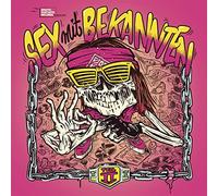 Various Artists - Sex mit Bekannten Teil II