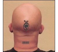 Various Artists - Shadow Hed Sessions