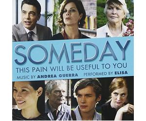 Various Artists - Someday This Pain Will Be Useful To You