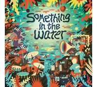 Various Artists Something in the Water (Vinyl LP) 12" Album