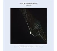 Various Artists Sound Wonders (Vinyl LP) 12" Album