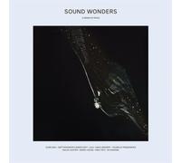 Various Artists Sound Wonders (Vinyl LP) 12" Album