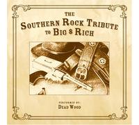 Various Artists - Southern Rock Tribute to Big & Rich