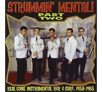 VARIOUS ARTISTS - STRUMMIN MENTAL PART 2 - CD - K72z