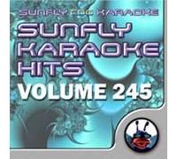 Various Artists - Sunfly Karaoke Hits Volume 245 (CD+G)