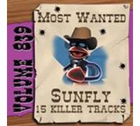Various Artists - Sunfly Karaoke Most Wanted Volume 839 (CD+G)