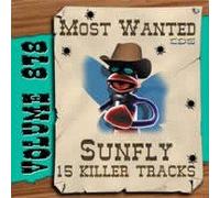 Various Artists - Sunfly Karaoke Most Wanted Volume 878 (CD+G)