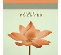 Various Artists - Super Budget Together Forever