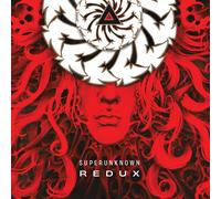 Superunknown Redux